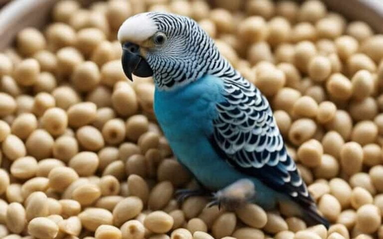 Mesmerizing Can Birds Eat Sesame Seeds Scene for Your Screen Mesmerizing Can Birds Eat Sesame Seeds Scene for Your Screen