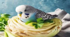Can Budgies Eat Celeriac