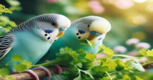 Can Budgies Eat Coriander