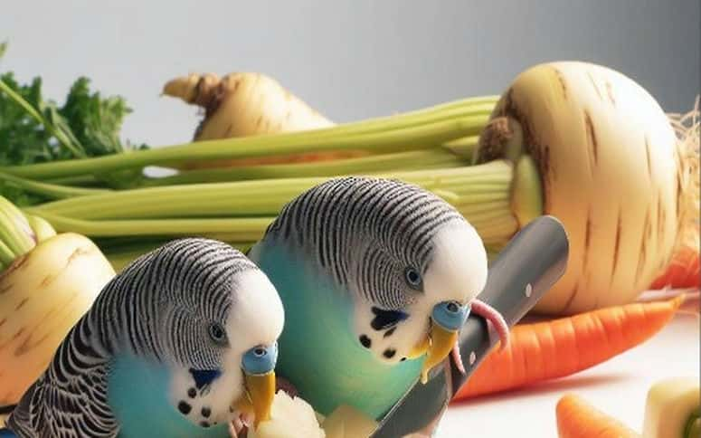 Can Budgies Eat Celeriac? Yes Or Not | Unveiling The Truth