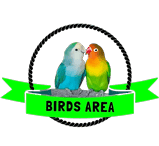 Birds Area
