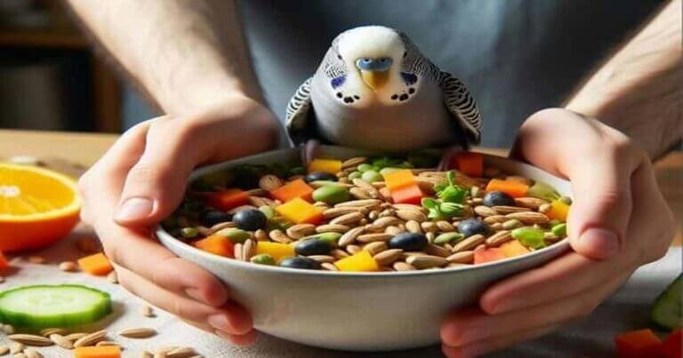 Curated visual reference: Homemade Budgie Snacks Reference: 4 Easy Homemade Baby Budgie Food Recipes Vet Suggested