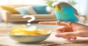 Can Budgies Eat Chips