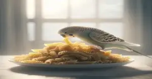 Can Budgies Eat Cooked Pasta