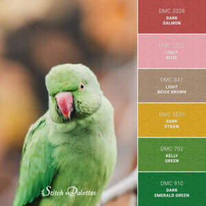 Learn About The Diverse Palette Of Budgie Bird Colors