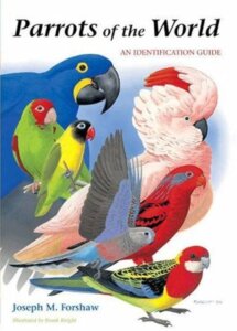 The Colorful World Of Budgie Parakeets A Comprehensive Guide