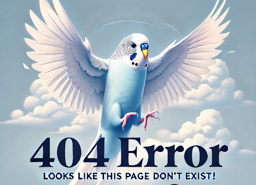 Error page