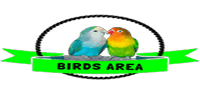 cropped Birds area.png